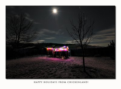 Happy Holidays from Chickenland!