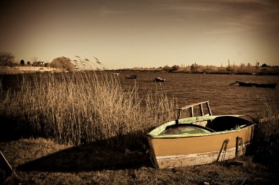 g3/76/805776/3/121901082.3F2M6Lyw.jpg