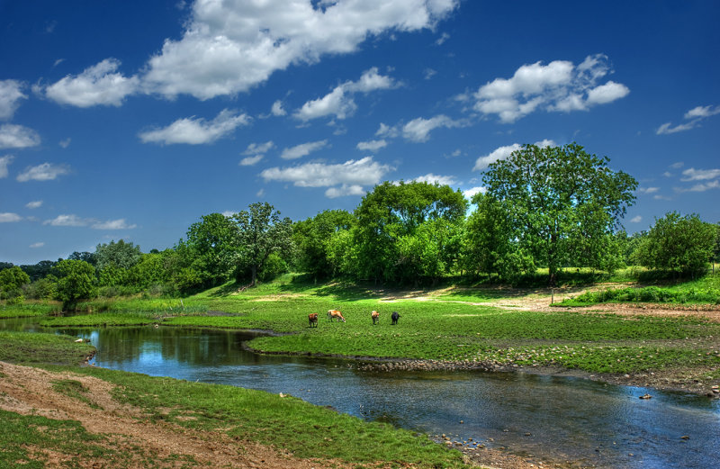 Pasture in Walworth County