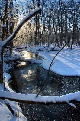 Winter in Hales Corners, Wisconsin