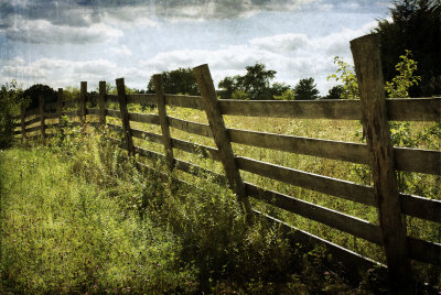 Fence Line Along The Yankee Area