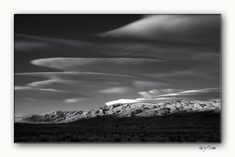 South Bishop