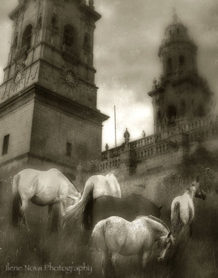 spain comes to the new world monochrome