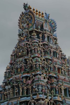 THaipusiam 3.jpg