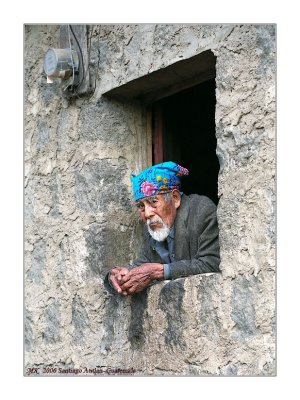 Portrait in a window