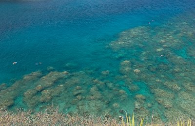 SNORKELING HONOLUA BAY