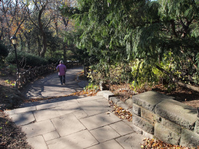 THE PATH