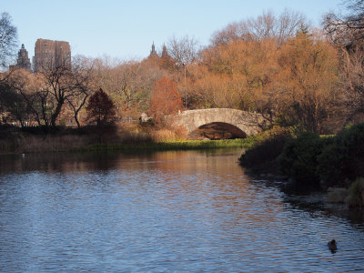 A WALK IN THE PARK- NYC
