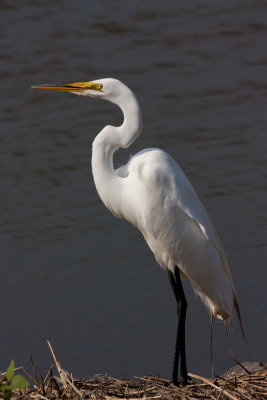 g3/76/859076/3/125233833.atUXAAht.jpg
