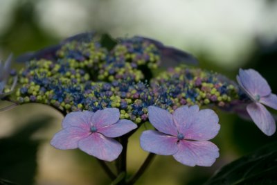 g3/76/883476/3/114666561.RW66G44P.jpg