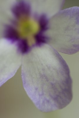 g3/76/883476/3/115023591.a6PrBx2T.jpg