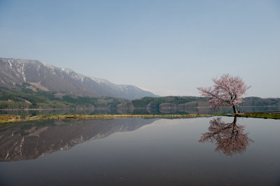MAY 2010