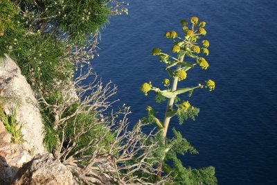 IMG_9659.jpg