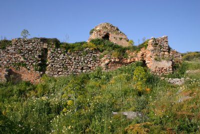 IMG_9672.jpg