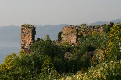 IMG_9695.jpg