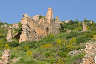 IMG_9716.jpg
