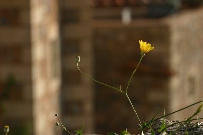 IMG_9794.jpg