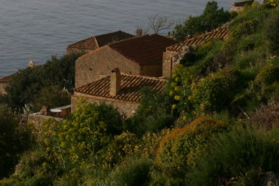 IMG_9802.jpg