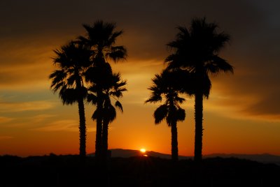 Last nights storm sunset, double sun?