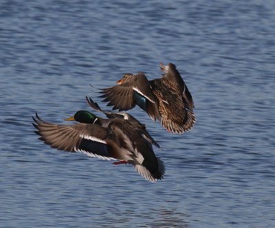IMG_5438.JPG