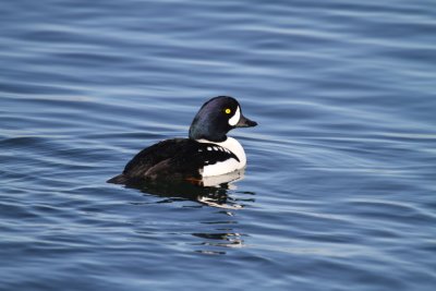 IMG_5528.JPG