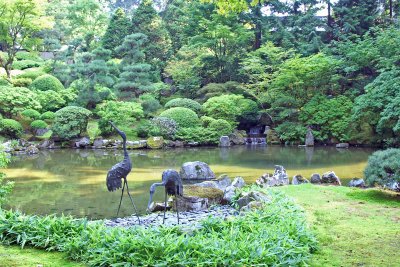 Japanese Garden