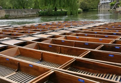 Punting along the Cam