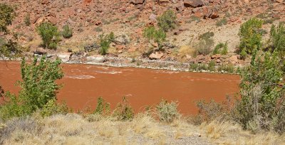 River turned brown on way back towards Moab