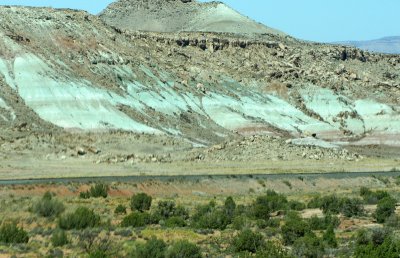 View across the road toward Arches. green color