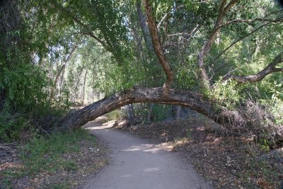 Matheson Wildlife Preserve