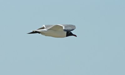 g3/76/97376/3/120425053.8jScXFQP.jpg