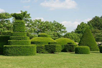Shaped hedges