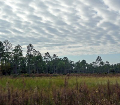 Clouds gathering