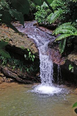 Waterfalls & swimming