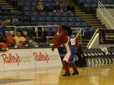 their donkey, i mean bronco....