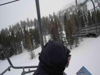 matt's head