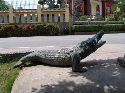 fake crocodile