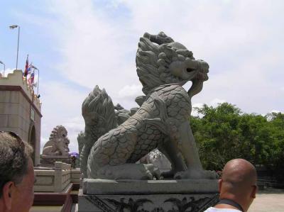 more lions