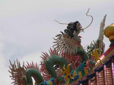 more dragons