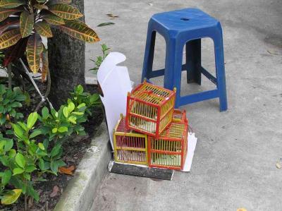 and birds.  i think you were supposed to buy them and release themo r something