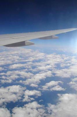 Airplane wing