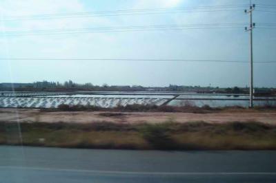Salt farm (new page)