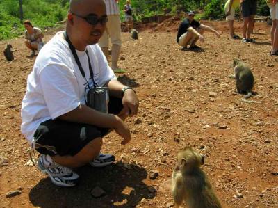 monkey see, monkey do