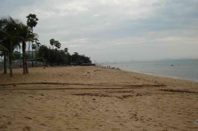 more beach, it was really dirty, lots of trash, and the water was brownish... i didn't swim