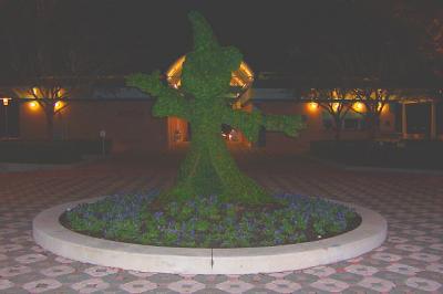 ContemporarySorcerorMickeyTopiary.jpg