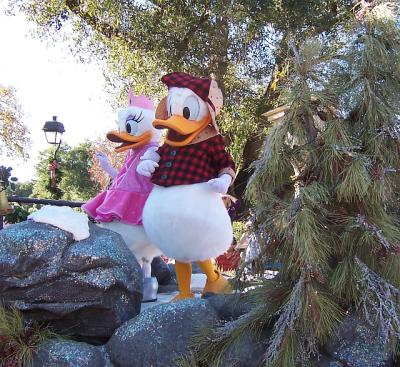 MVMCPDaisyDonald.jpg