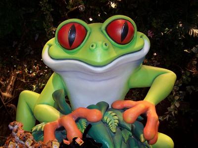 RainForestFrog.jpg