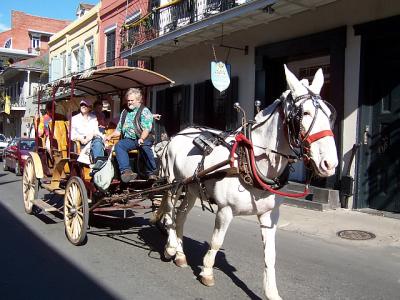 Carriage.jpg