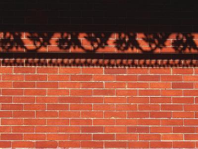 LaceBalconyShadowOnBrickWall.jpg