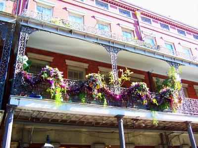 MardiBalcony.jpg